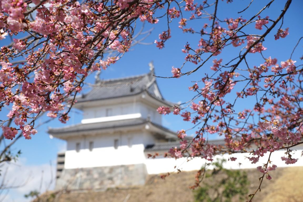 🏯 우쓰노미야 성터 공원(우쓰노미야조시코엔) 이미지 7